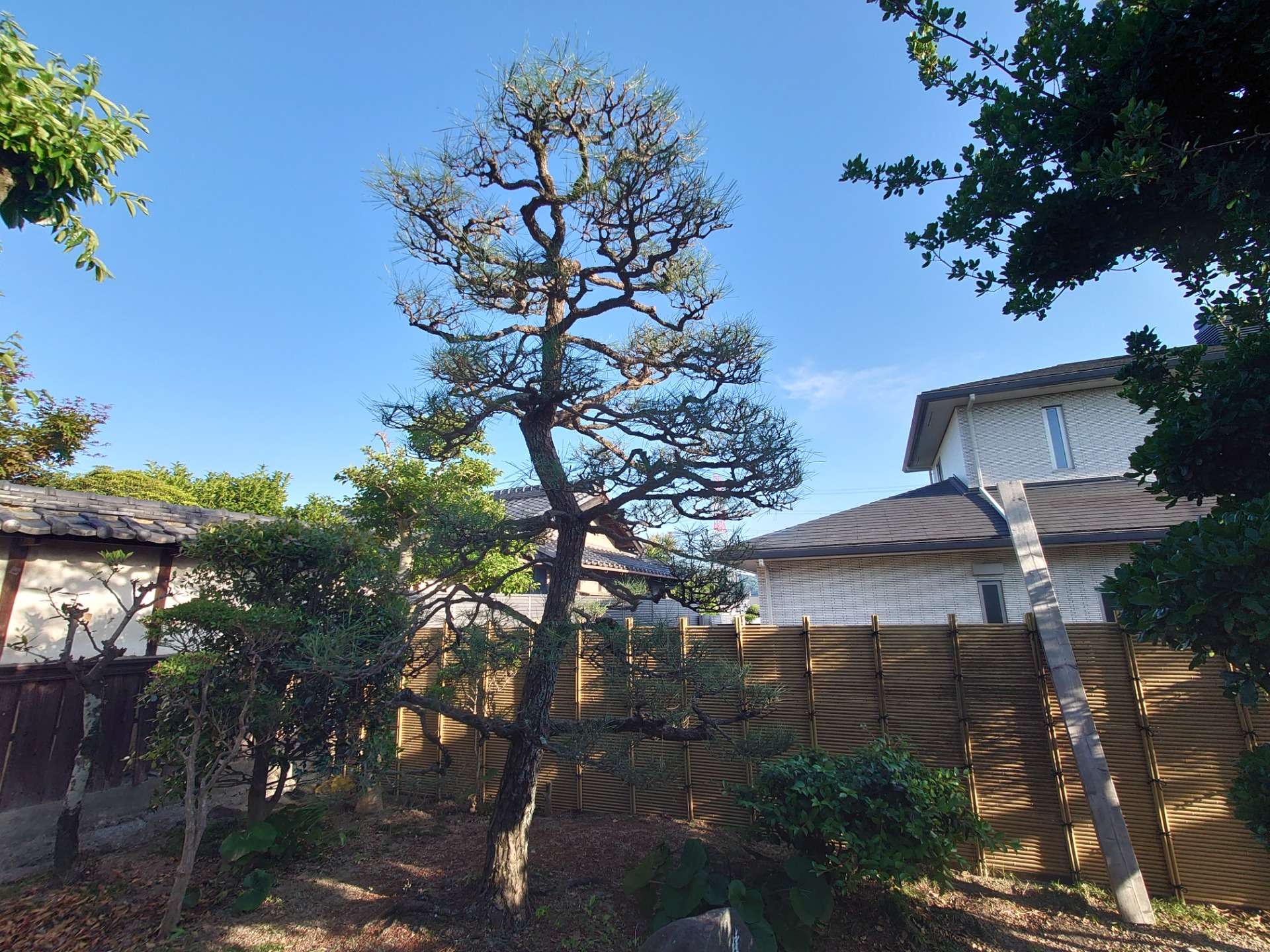 枚方市]お庭、庭木の事でお悩みの方は、ぜひ植木屋庭亮にご相談