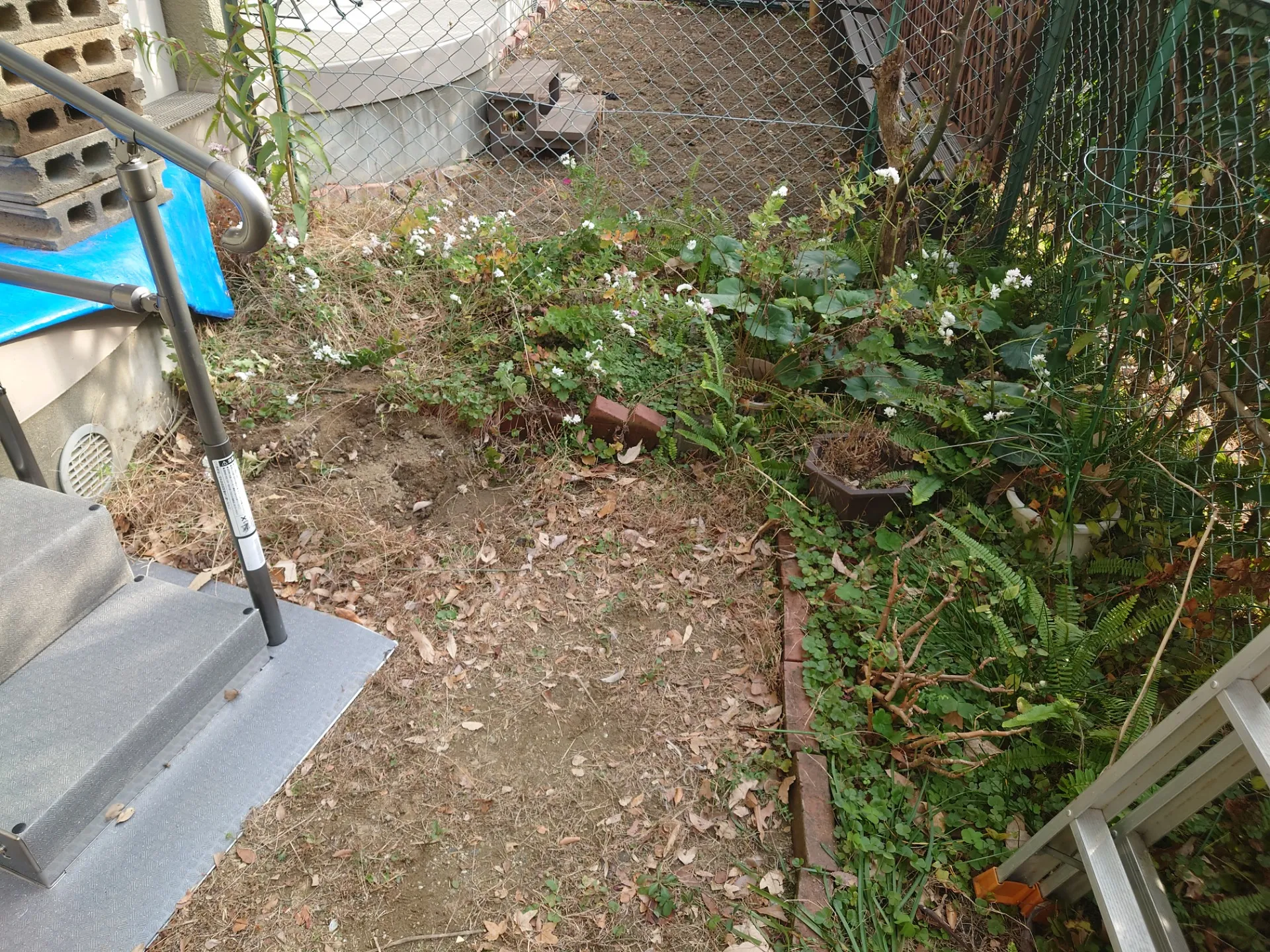 [枚方市]防草工事なら是非、植木屋庭亮へご相談ください!